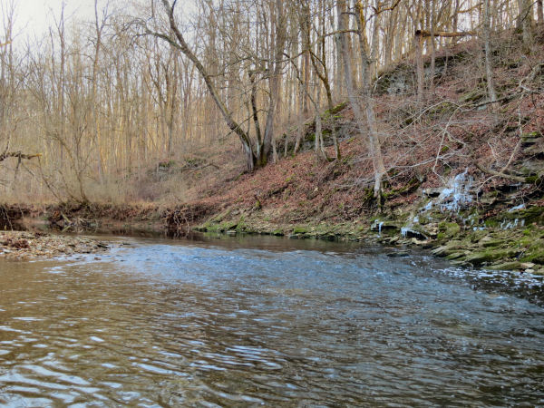 Clear Creek in Winter