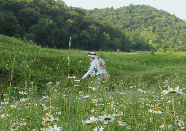 Decorah in The Driftless