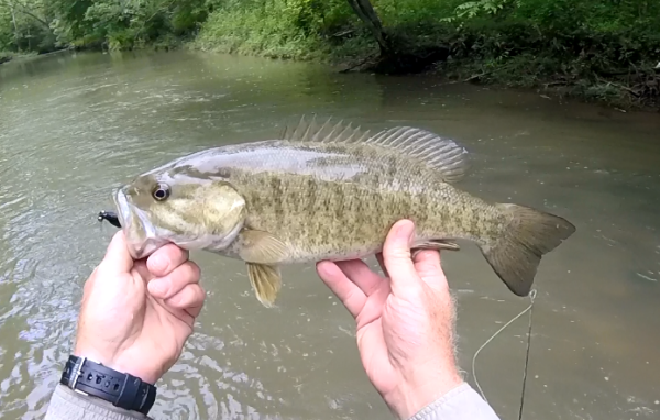 Jeff holding smallmouth bass