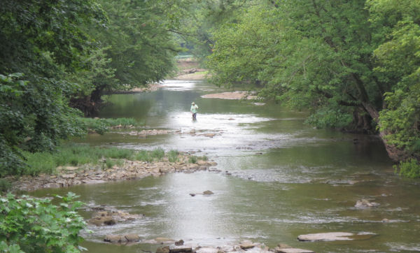 August Sugar Creek Frank