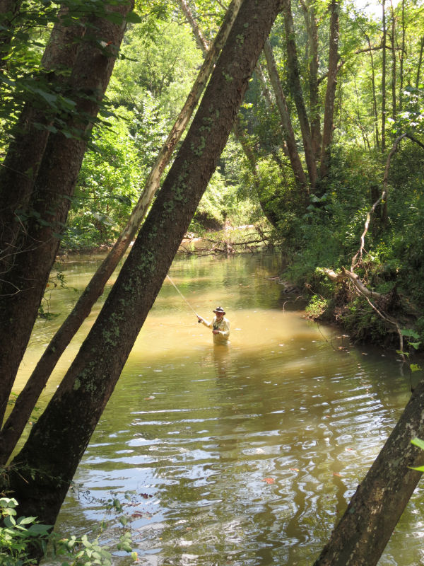 fly fishing a micro-creek