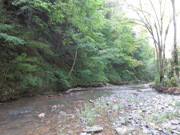 small (micro) creek