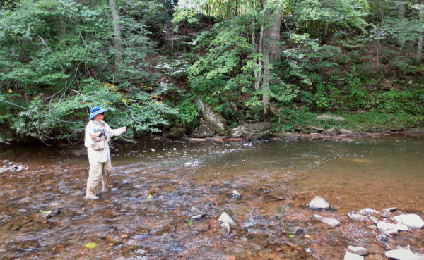 fly fisher casting