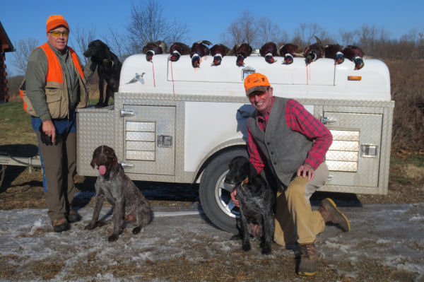 dogs, hunters & pheasants at PQ Ranch